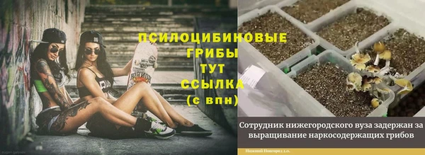 кокс Богданович