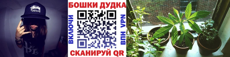 Бошки Шишки планчик  Краснознаменск 